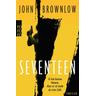 Seventeen / Die Seventeen Reihe Bd.1 - John Brownlow