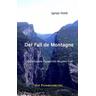 Der Fall de Montagne - Ignaz Hold