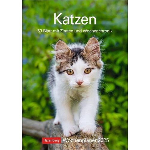 Katzen Wochenplaner 2025 - 53 Blatt mit Zitaten und Wochenchronik - Harenberg
