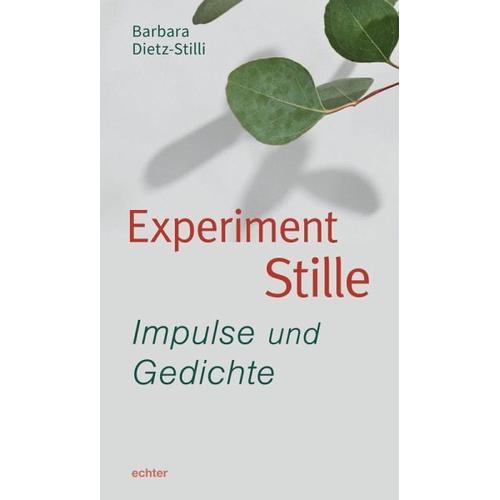 Experiment Stille - Barbara Dietz-Stilli