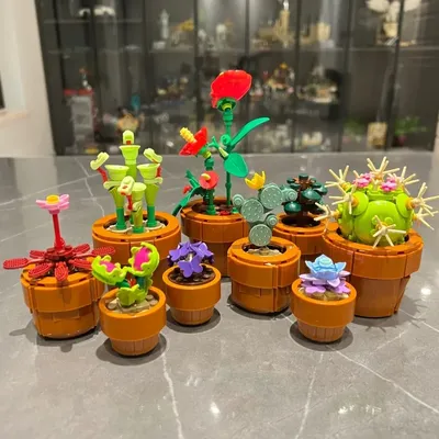 Flowers+Plants