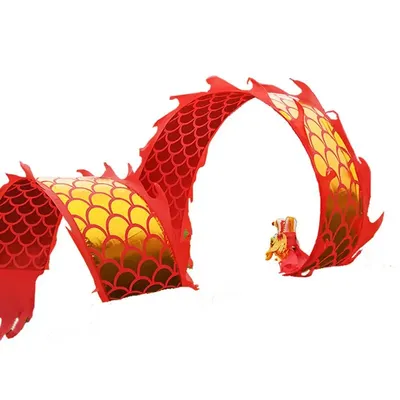 47 Styles Chinese Dance Fitness Dragon Prop Children Adult's Traditional Culture Festival