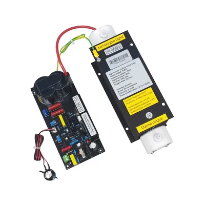 CE FCC ROHS Patented product 10G/H 10grams adjustable ozone generator kit portable ozone generator