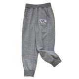 Cotton Baby Days Girls Plus Size Sweatpants Fall Winter Cute Print Elastic Waisted Wide Leg Workout Jogger Pants for Gifts Gray 2 4 Years