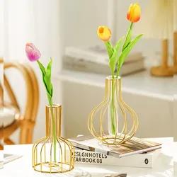 Vase doré amissié en fer avec tube à essai hydroponique transparent, bouteille en métal créative, fleur de Gand, décoration d'intérieur, 1 pièce