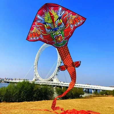 Free shipping 100m chinese dragon kite flying handle line adult kite large kite colorful flying