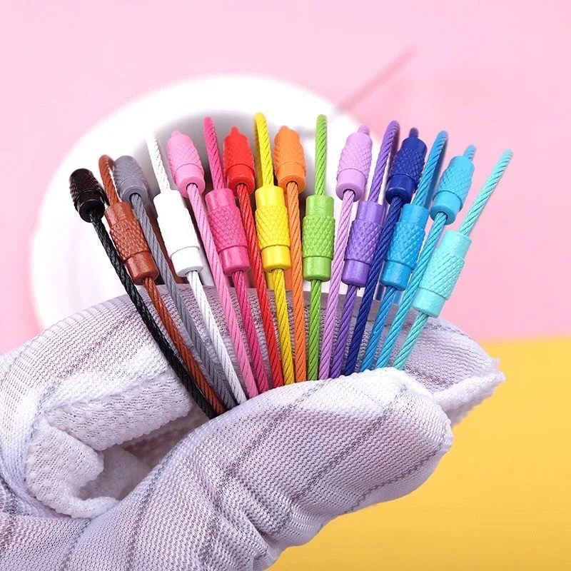 10 stücke Bunte Edelstahl Draht Schlüsselbund Stahl Draht Gepäck Tag Clip Lock Schlüsselring Schleife Halter Kabel Label Ringe Für schlüssel Image