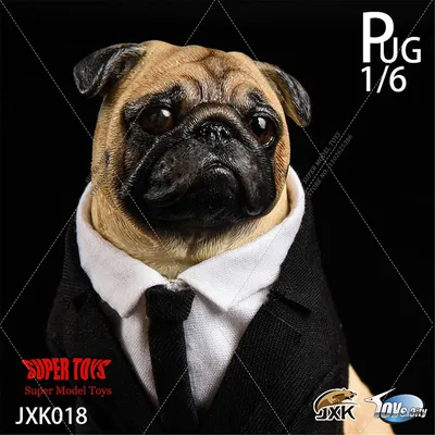 JxK 1/6 Figure Scene Accessories Suit Pug Dog Model Pet Healing Animal Toy for 12Inch Action Figure
