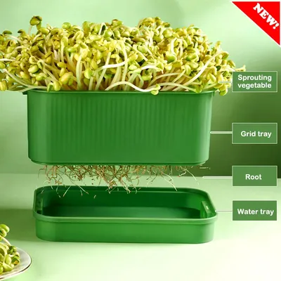 Seed Sprouter Tray BPA Free PP Soil-Free Big Capacity Healthy Wheatgrass Grower with Lid Sprouting