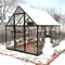 Polycarbonate Greenhouse,Winter Greenhouses for Outdoors,Greenhouse with Roof Air Vent,Heavy Duty