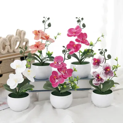 Flowers+Plants