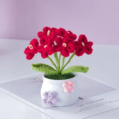 Flowers+Plants