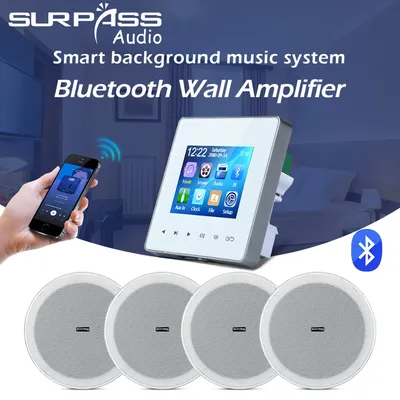 Bluetooth Wand Verstärker 40W 2 Kanäle Musik Panel mit USB Fm Radio PA System Lautsprecher Decken Image