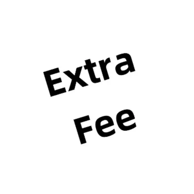 Extra Shipping Fee