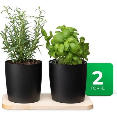 Kräutertopf 1x Holzbrett, 2x Kräutertöpfe - Novaliv