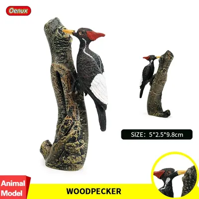 Oenux Classic Bird Woodpecker Simulation Animals Picidae Model Action Figure Figurines PVC Miniature