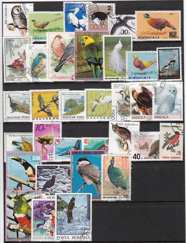 New 50Pcs/Lot Bird All Different From Many Countries NO Repeat Postage Stamps for Collecting