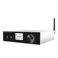 CL-600B Amplificatore digitale professionale per karaoke con amplificatore wireless Bluetooth 100w decodifica amplificatore audio digitale