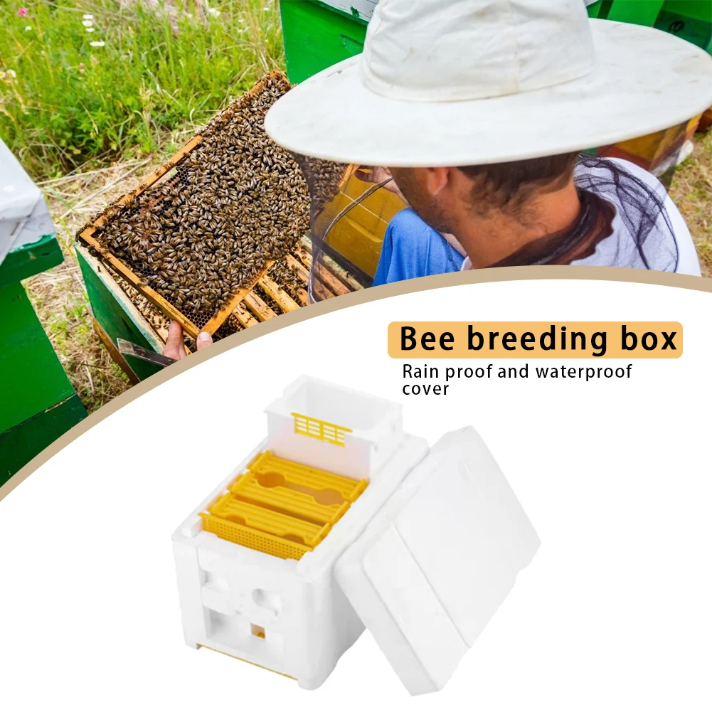 1-3 Stück Bienen zucht box Bienen paarung sbox Schaum Home Bienenstock Bestäubung boxen Ernte Bienenstock Imker Paarung ausrüstung Image