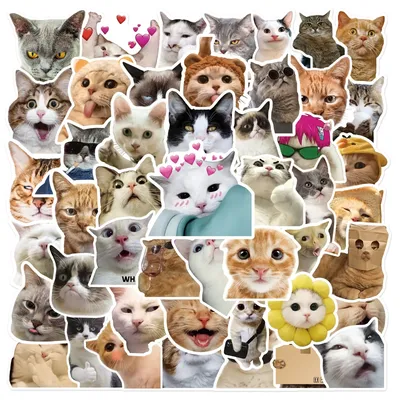 10/30/50PCS Trendy Nette Cartoon Realistische Katze Graffiti Tasse Innen Dekoration DIY Wasserdichte PVC Aufkleber PersonaliToys Großhandel Image