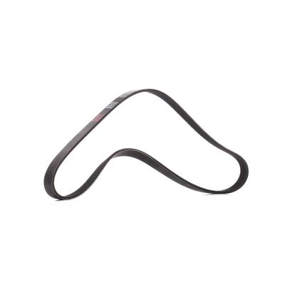 RIDEX PLUS Keilrippenriemen VW,AUDI,OPEL 305P0054P 7198532,9936631040,9633010480 Rippenriemen 98076544,9819833380,60617860,99366D1040,5750XW Image