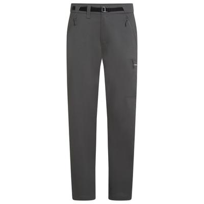 Icebreaker - Merino Elevation Stretch Pants - Trekkinghose Gr 34 grau Image