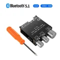 Bluetooth 5.0 2x50W HIFI Power Subwoofer scheda amplificatore Stereo digitale Audio amplificatore di potenza AUX USB T50L APP