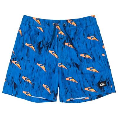 Quiksilver - Kid's Next Gen Volley 14 - Boardshorts Gr 12 Years blau Image