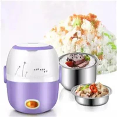 220V Lunch Box 2 Layers Portable Food Steamer Cooking Container Electric Meal Lunchbox Warmer MINI