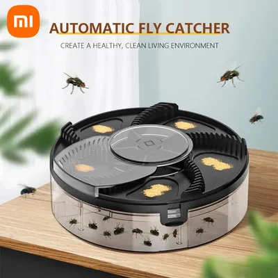 Pest+Control