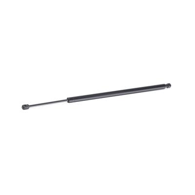 RIDEX Heckklappendämpfer VW 219G1057 2K0827550C,2K5827550,2K0827550B Image