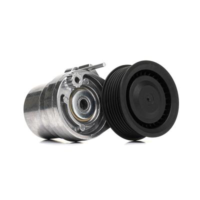 RIDEX Spannrolle RENAULT,NISSAN,SMART 310T0531 117507306R Spannrolle, Keilrippenriemen Image