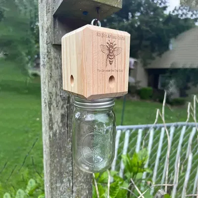 New Carpenter Bee Trap for Outside - Pentroof Style Nature Hanging Wood Carpenter Bee Traps -Insect