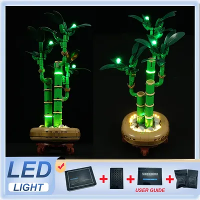 DIY-LED-Beleuchtungsset für LEGO 10344, Glücksbringer (nur LED-Licht, ohne Blöcke, Modell) Image
