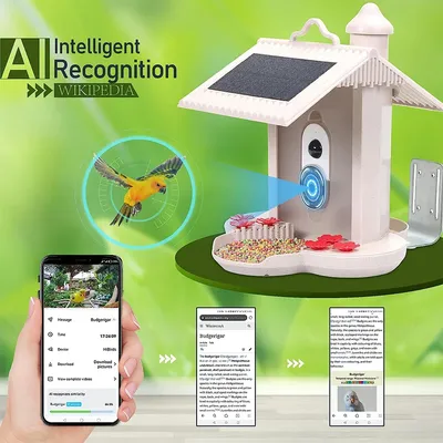 WIFI Smart Bird Feeder Camera 1080P Auto Capture Bird Video and Motion Detection Real-time