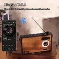 Radio FM AM vintage portatile Radio di sintonizzazione retrò classiche Hifi wireless Bluetooth 5.4 Altoparlante Scheda TF U Disco Lettore musicale MP3