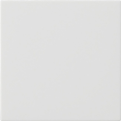 Gira Wippe 1-fach 537203 Image