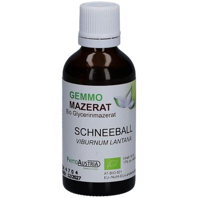 Gemmo Mazerat BIO Schneeball 50 ml Tropfen zum Einnehmen Image