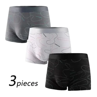 3-teilige Herren-Boxershorts, Sportunterwäsche, Unterhose, Shorts, XL, 2XL, 3XL, 4XL, einfache Image