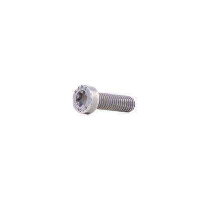 BOSCH Schraube F 00N 202 191 8201011778,5600735570,99478122 81904900804 Image
