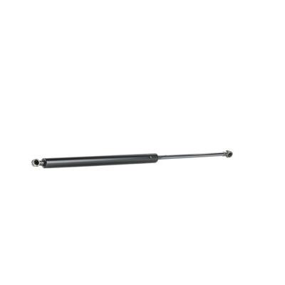 RIDEX Heckklappendämpfer MAZDA,LEXUS 219G0410 GS2A63620C,6895049055,6895049185 6895049195,6896049055,6896049065,6896049185,6896049195,6895049065 Image