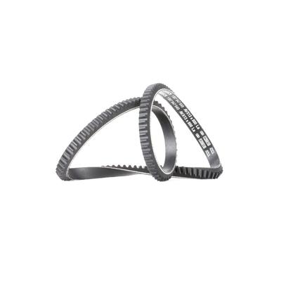 BOSCH Keilriemen VW,AUDI,BMW 1 987 947 649 7700268296,7629316,8981077970 13X800,64521268695,ETC4272,1172005E60,2016629W11,026260849A,075145271 Image