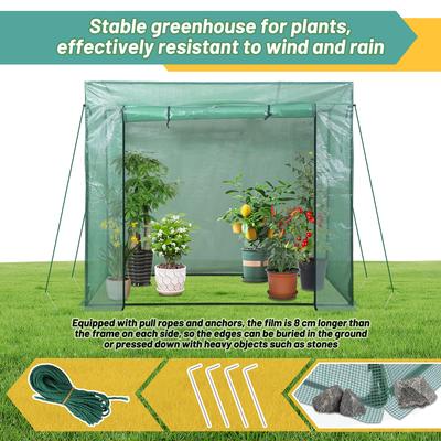 TEMU Small Greenhouse, Pvc Transparent Film Greenhouse, Plant Growing , Weatherproof And Winter Protection, For Garden Or Balcony, 270 X 90 X 90 Cm/200 X 80 X 170cm/ X 50 X 150cm/ (lxwxh) Image