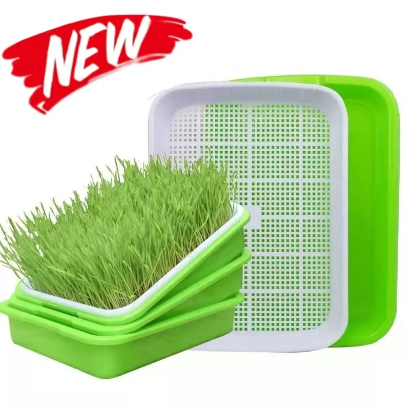 Microgreens Sprossentablett mit Deckel, doppelschichtig, Graskeimung, Kindergarten-Topf, Wachstumskorb, Hydrokultur, Microgreens-Plattenwerkzeug Image