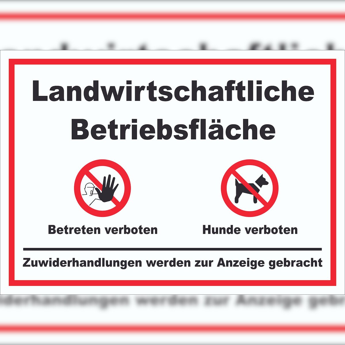 HB-Druck Landwirtschaftliche Betriebsfläche Betreten und Hunde verboten Schild A3 Rückseite selbstklebend Image