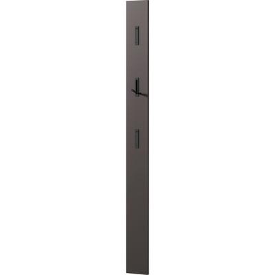 Garderobenpaneel GERMANIA "Colorado", grau (graphit, haken schwarz), B:15cm H:170cm T:3cm, Garderobenpaneele, mit 3 Klapphaken in schwarz oder alufarben, Höhe 170 cm Image