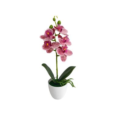TEMU A Potted Orchid Pot With A Pot - Real Flowers For Home Decoration And Living Room Bookshelves - Decorative Ornaments And Window Display, Artificial Flowers, Gifts Surprise Image