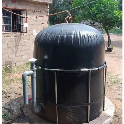 Small Home Biogas Digester System Plant Convert Household Food Residue Organic Waste to Cooking Gas Fuel