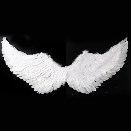 Fierté Ailes de plumes Ange Drag Queen Adulte Unisexe Halloween Défilé de la Fierté Mois des Fiertés Déguisements d'Halloween faciles Se déguiser