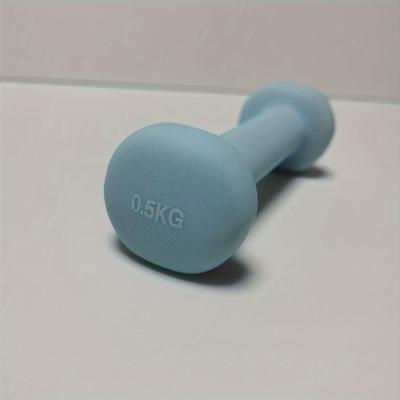 TEMU 1pc Solid Cast Iron Dumbbell With , (pink/blue/black), Fixed Style, Unisex Home Gym Workout Equipment For Hand Training Image